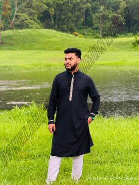 Alaminafridi301